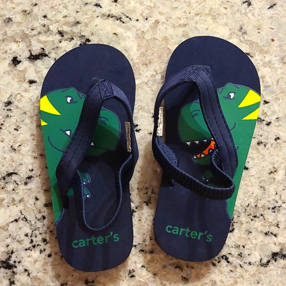 Dinosaur Flip Flops